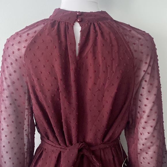 SOLD!!! NWT Poetic Love Cabernet Swiss Dot Long Sleeve Dress - Picture 7 of 8